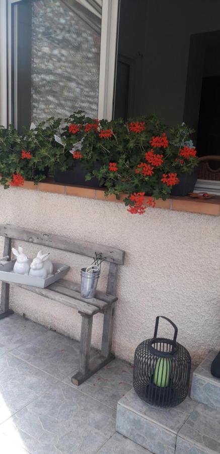 Cote Jardin Bed & Breakfast Périgueux Екстериор снимка